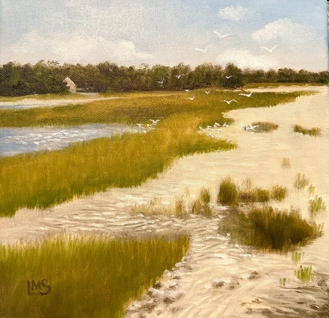 Beach and grasses with water and seagulls squabbling